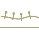 Acupuncture-THERAPY-Adelaide