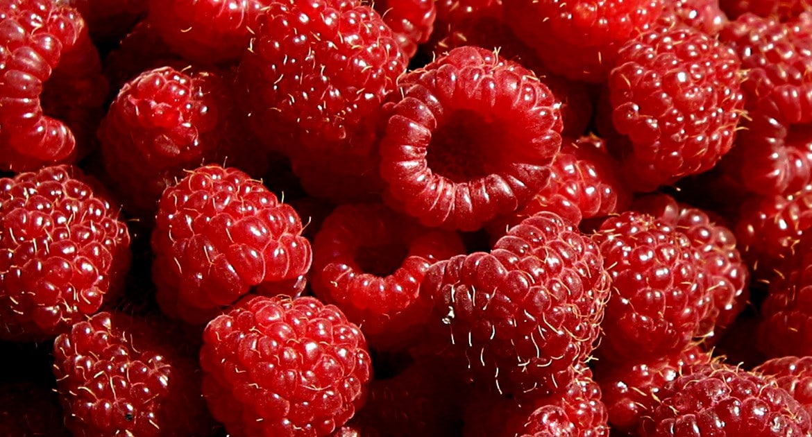 raspberries_Photo