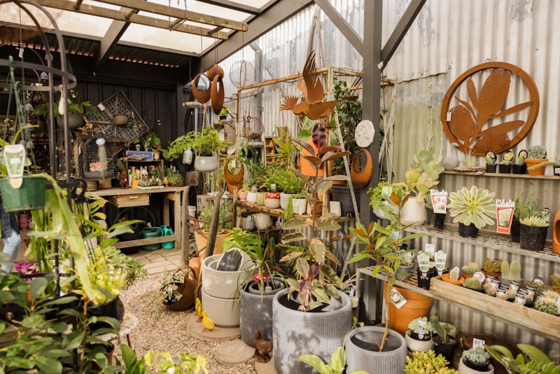 Garden, Gift and Homewares Sandersons