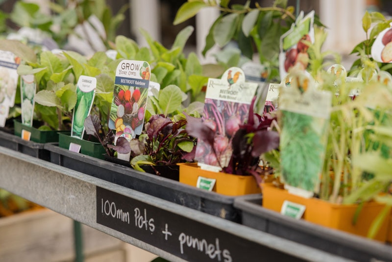 Garden, Gift and Homewares Sandersons