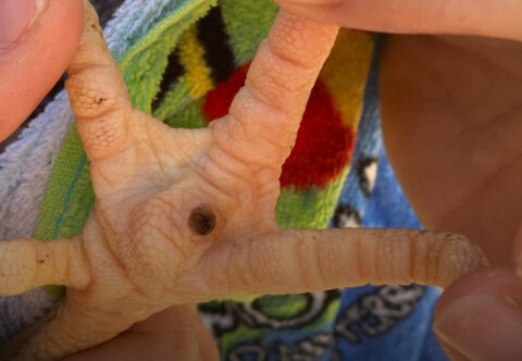 Sandersons | Grain, Fodder, Pets, Garden, Rural, Supplies