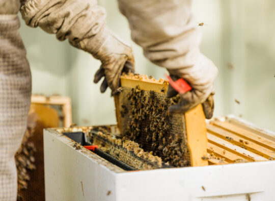 Sandersons | Grain, Fodder, Pets, Garden, Rural, Supplies