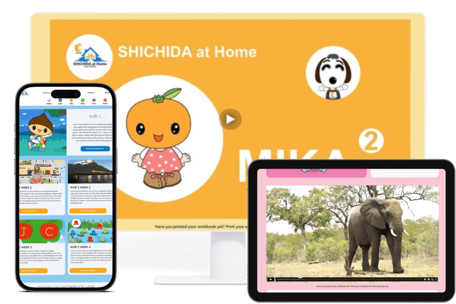 Shichida Insect What do I get with a SHICHIDA at Home subscription?