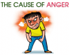 The Cause of Anger