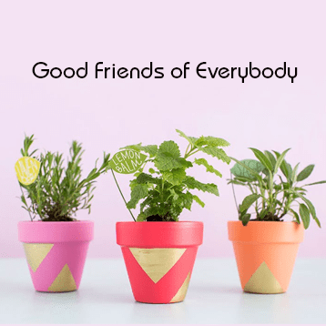 Good Friends of Everybody