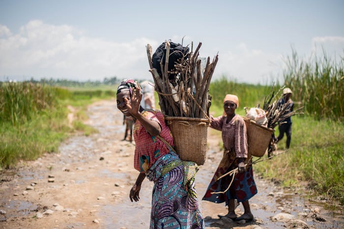 Firewood: Photo by Safari Consoler