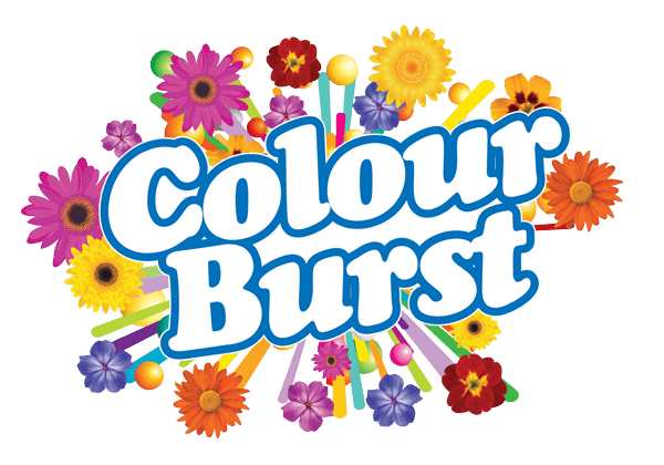 Sunnyvale Plants - Colour Burst