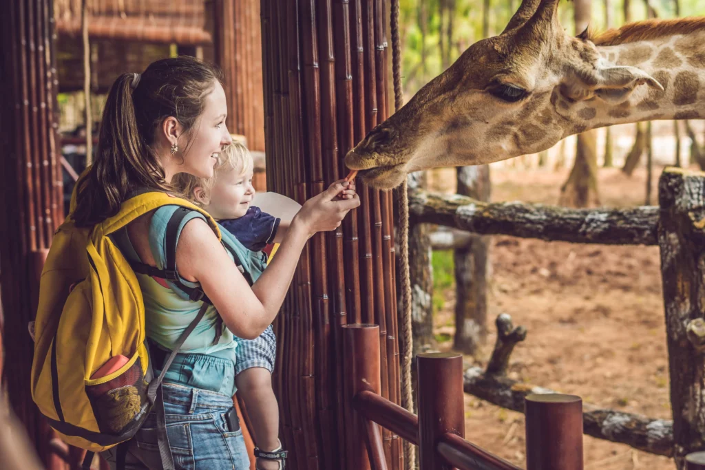 woman holding toddler feeding giraffe at zoo | swoosh finance