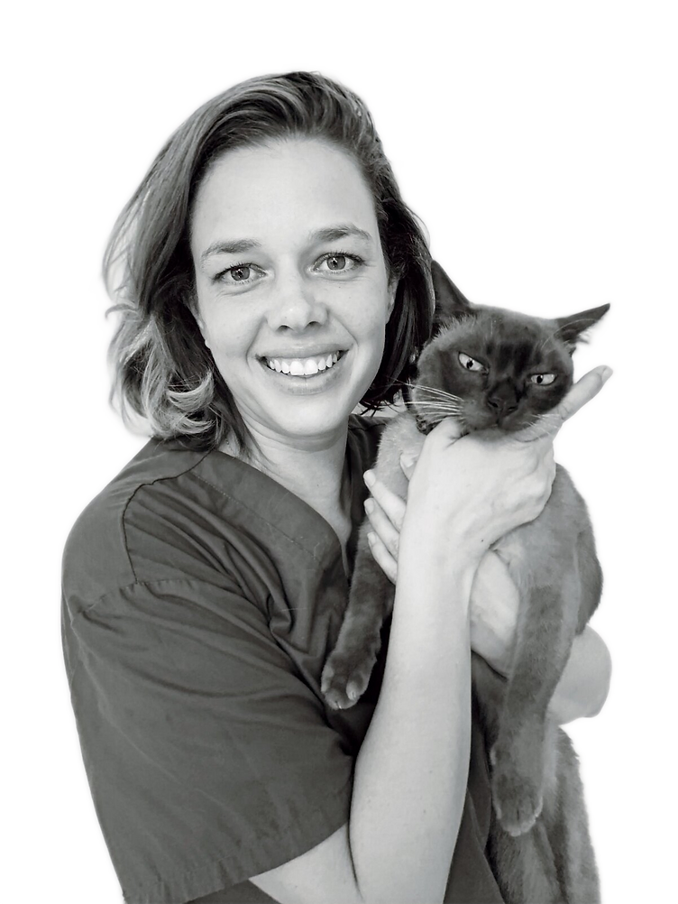 Dr Donna White holding a cute Cat