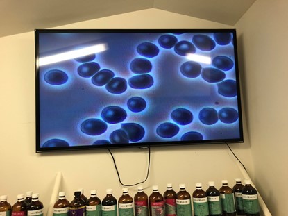 haus-of-holistic-health-natural-medicine-003