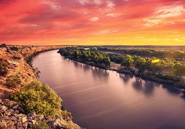 Right Image tipsda-murray