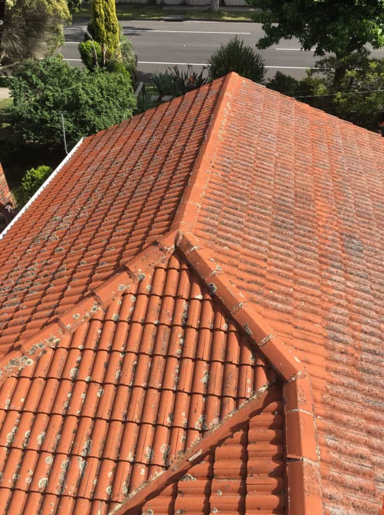 roof cleaning and painting