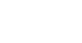 TwistNLock Logo - white