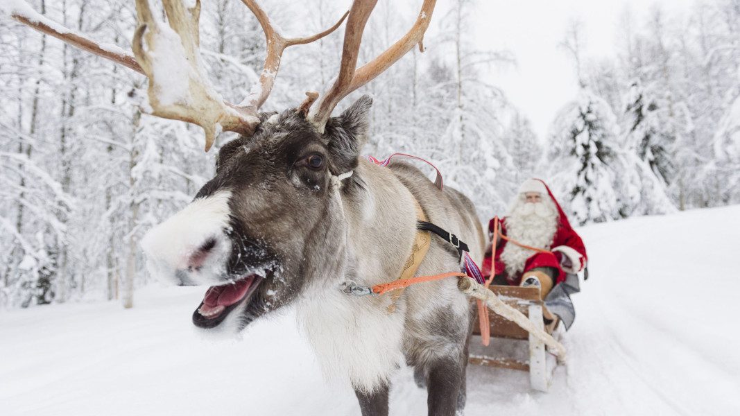 santa in reindeer sled