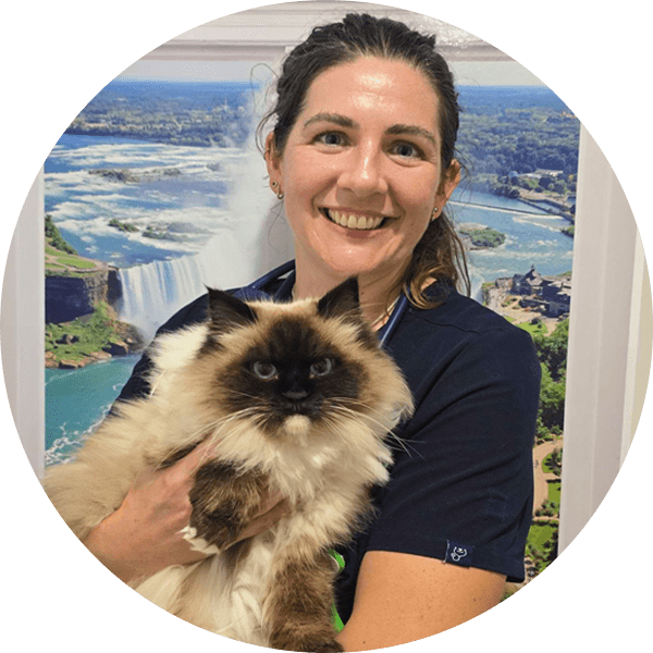 Dr-Ingrid Experience Vet