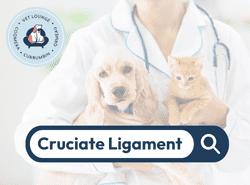 Cruciate Ligament Cruciate Ligament button