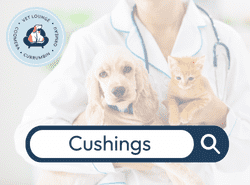 Cushings Cushings in cat