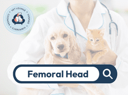 Femoral Head Femoral Head button