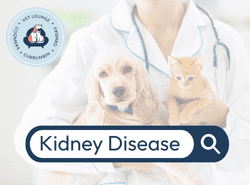 Kidney Disease Kidney disease in cats