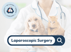 Laparoscopic Surgery Laparoscopic Surgery Button