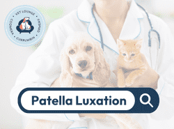 Patella Luxation Patella Luxation button