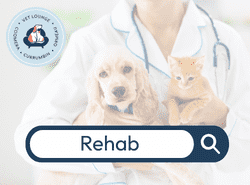 Rehab canine rehab