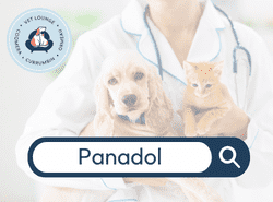 panadol panadol botton