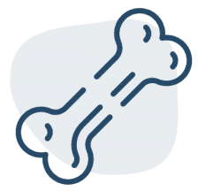 Orthopaedic Image ortho image