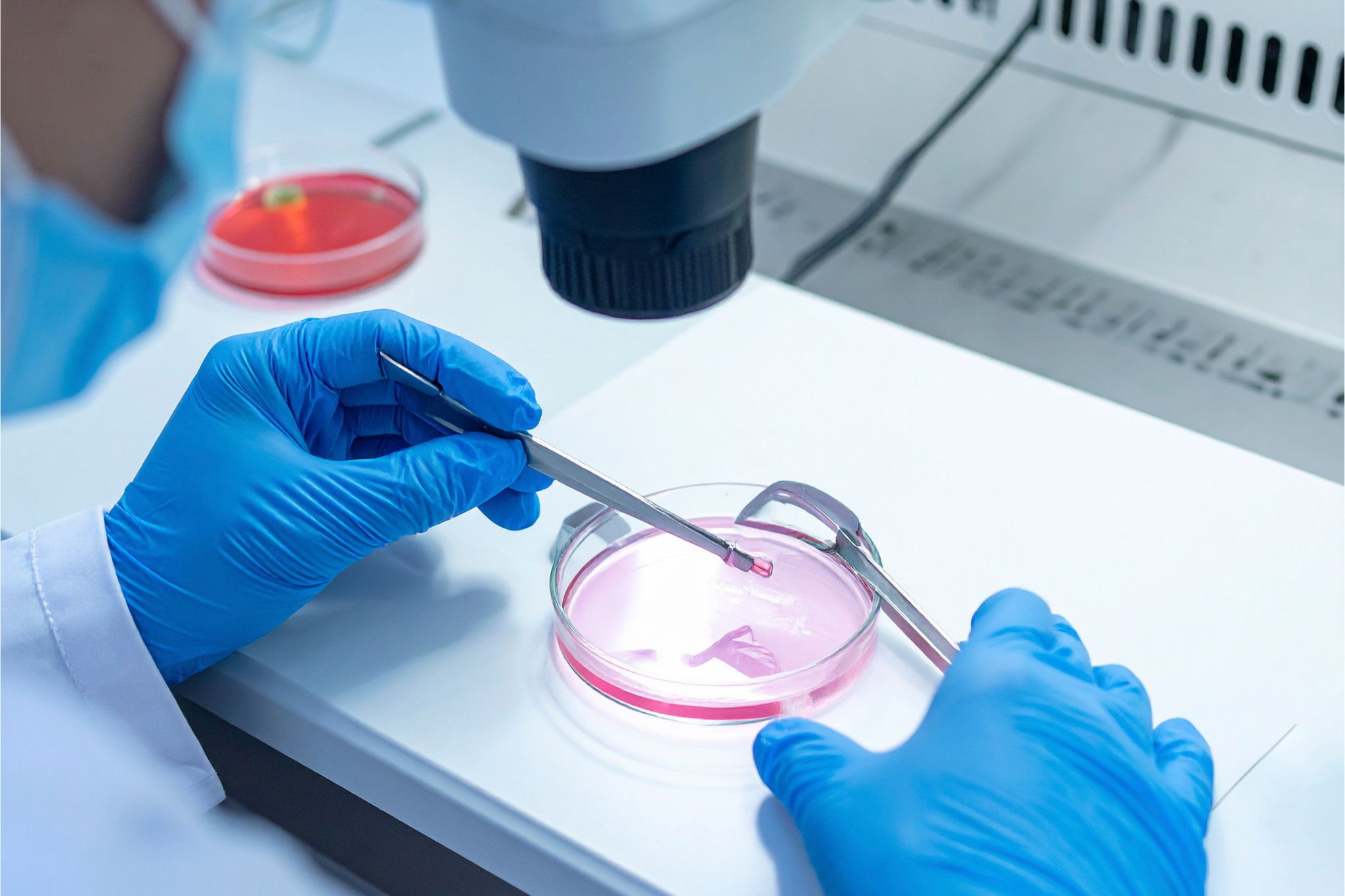 Virtual medical assistant supporting fertility clinics with IVF scheduling, insurance approvals, and reproductive endocrinology records on secure platforms.