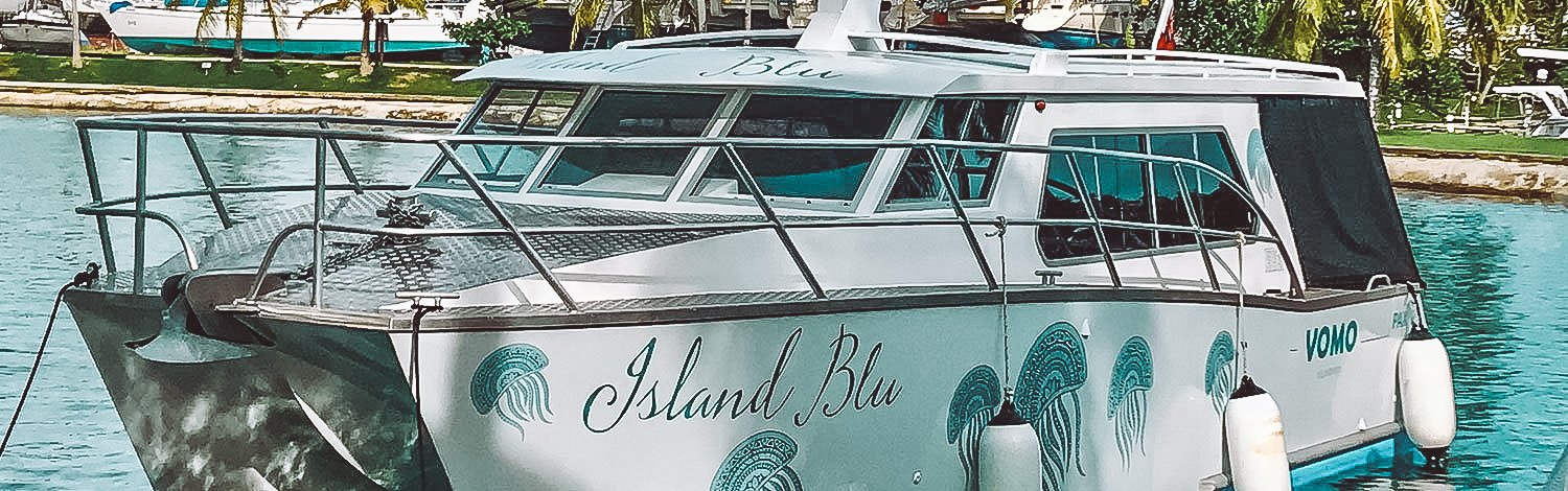 Island Blu Island Transfers By Speed Boat