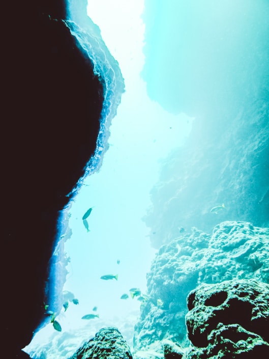 Vomo diving