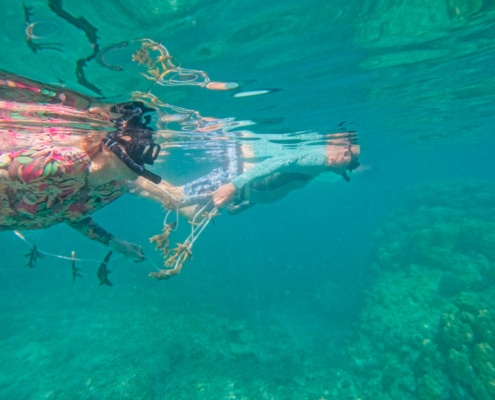 Coral restoration underwater restoration tours vomo island fiji