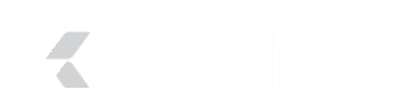 Xmplify Logo
