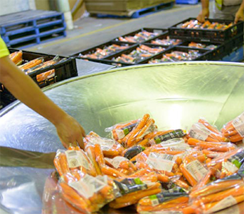 zerella fresh carrots - packed ready to go