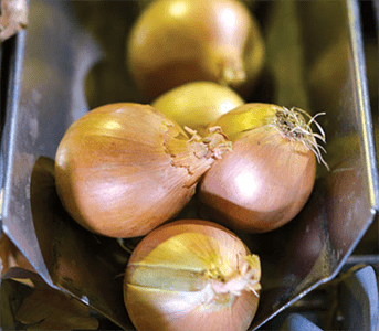 zerella fresh onions - washing and grading